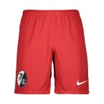 Nike SC Freiburg Short 3rd 2024/2025 Kids Schwarz Schwarz F010