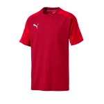PUMA CUP Sideline T-Shirt Rot F01
