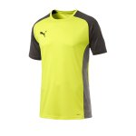 PUMA CUP Sideline Core T-Shirt Gelb F16