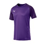 PUMA CUP Sideline Core T-Shirt Gelb F16