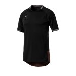 PUMA ftblNXT Pro T-Shirt Schwarz Rot F01