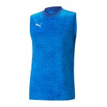 PUMA teamCUP Trainingssweatshirt Blau F02