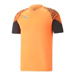 PUMA individualCUP Trainingsshirt Orange F50