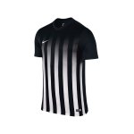 Nike Kurzarm Trikot Striped Division II F013