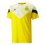 PUMA BVB Dortmund Iconic MCS T-Shirt Gelb F01