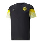 PUMA BVB Dortmund Iconic MCS T-Shirt Gelb F01
