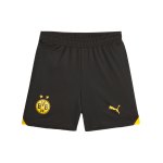 PUMA BVB Dortmund Short 2023/2024 Kids Gelb F01