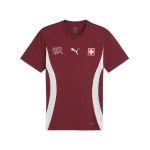 PUMA Schweiz Prematch Shirt Rot F08