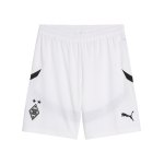 PUMA Borussia Mönchengladbach Short Away 2024/2025 Grün F04