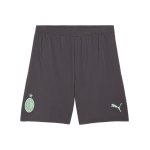 PUMA AC Mailand Short 3rd 2024/2025 Grau F03