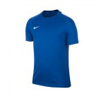 Nike Squad 17 Trainingstop Dry Blau Gelb F451