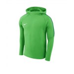 Nike Academy 18 Kapuzensweatshirt Gelb F719