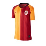 Nike Galatasaray Istanbul Trikot Home 2019/2020 Kids F628
