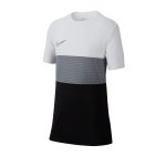 Nike Dri-FIT Academy Tee T-Shirt Kids Grau F012