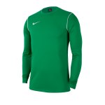 Nike Park 20 Sweatshirt Kids Gelb F719