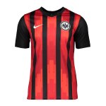 Nike Eintracht Frankfurt Trainingsshirt Schwarz F011