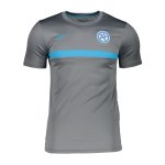 Nike Slowakei ACD T-Shirt Grau Blau F067
