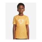 Nike Academy Dri-FIT T-Shirt Joga Bonito Kids F100