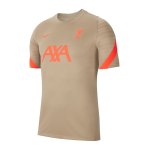 Nike FC Liverpool Strike T-Shirt Schwarz F011
