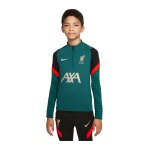 Nike FC Liverpool Strike HalfZip Sweatshirt Kids F678