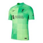 Nike FC Liverpool Torwarttrikot 2021/2022 F740
