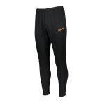 Nike Therma-FIT Academy Winter Warrior Hose F010