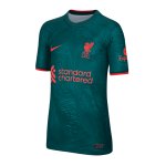 Nike FC Liverpool Trikot UCL 2022/2023 Kids Grün F377