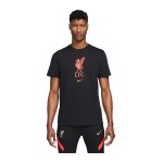 Nike FC Liverpool Crest T-Shirt Schwarz F010
