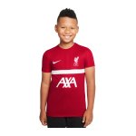 Nike FC Liverpool Trainingsshirt Kids Rot F687