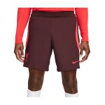 Nike FC Liverpool ADV Short Rot F652
