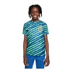 Nike Brasilien Prematch Shirt WM 2022 Kids Blau F490