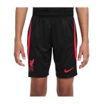 Nike FC Liverpool Strike Short Kids Schwarz F010
