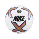 Nike Premier League Pitch Trainingsball F765