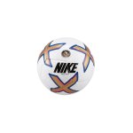 Nike Premier League Skills Trainingsball F100