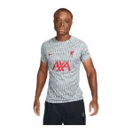 Nike FC Liverpool Prematch Shirt 2022/2023 Grau