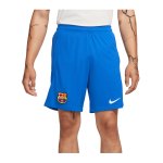 Nike FC Barcelona Short Away 2023/2024 F463