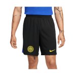 Nike Inter Mailand Short Home Away 2023/2024 F100