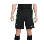 Nike FC Liverpool Trainingshose Schwarz F012
