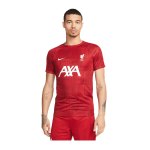 Nike FC Liverpool Trainingsshirt Rot F688