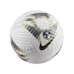 Nike Premier League Academy Trainingsball Weiss F106