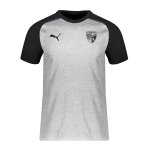 PUMA FC Ingolstadt Shirt Casual Grau F13