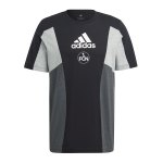 adidas 1. FC Nürnberg Colorblock T-Shirt Schwarz