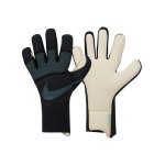 Nike Vapor Grip3 Dynamic Fit TW-Handschuhe F010