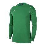 Nike Park 20 Sweatshirt Schwarz Weiss F010