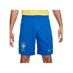 Nike Brasilien Short Home 2024 Copa America 2024 Blau F458