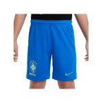 Nike Brasilien Short Home 2024 Copa America 2024 Kids Blau F458