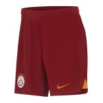 Nike Galatasaray Istanbul Short Home 2023/2024 Rot F613