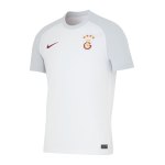 Nike Galatasaray Istanbul Trikot Home 2023/2024 Orange F836