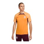 Nike Galatasaray Istanbul Trainingsshirt Orange F836