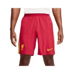 Nike FC Liverpool Auth. Short Home 2024/2025 Rot F687